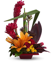 Tropical Bliss from Metropolitan Plant & Flower Exchange, local NJ florist